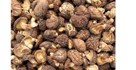 setas de hongos frescos carnosos gruesos secos naturales ingrediente