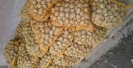 Venderé patatas, tamaño de semilla 50 bolsas, 15 kg