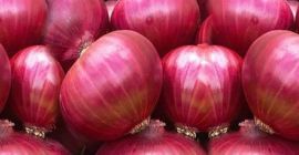 Ahora ofrecemos frescos: (Cebolla Roja) para la temporada 2021-2022
