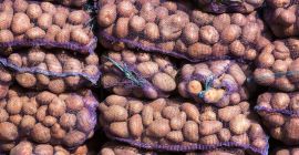 Patatas (blancas, rojas) productos libres de impuestos (0%) para