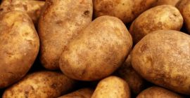 Tenemos patatas de alta calidad (rojizas) para el consumo.