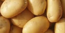 Disponemos de patatas de alta calidad (oxidadas) para el