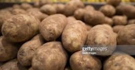Tenemos patatas de alta calidad (rojizas) para el consumo.
