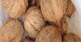 Nuestros productos son de precio competitivo y de buena