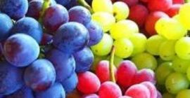 Calidad Excelente fruta, buena fruta Color Verde Diámetro horizontal