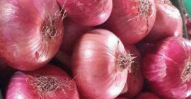 Cebolla roja fresca Este tipo de cebolla, también conocida