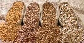 Humedad del lino - máx. 13,5%; Aditivo para basura