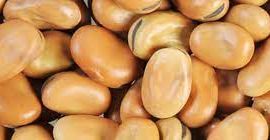 Frijoles (caballo) Humedad - máx. 14,0%; Aditivo para basura