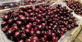 Las cerezas grandes se venden en cajas de 2