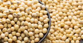 Comercializamos huevos frescos de varios tamaños; Huevos frescos blancos