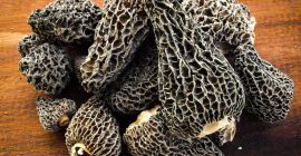 Nombre del producto: IQF trufa de verano congelada de