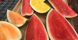 El precio incluye el transporte a Bucarest Rumanía. A