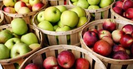 Venderé manzanas, camiones cargados
