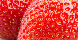 Compraré fresas para seguir comerciando en el voivodato de