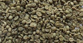 Granos de café recién tostados más vendidos Dormans Continental