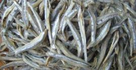 Somos un proveedor confiable de una variedad de productos