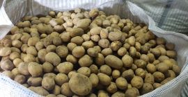 ¡Estimado señor o señora! Yukon Transit se ocupa de