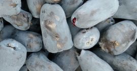 ¡Compra un sombrero de hachís con certificado ecológico!