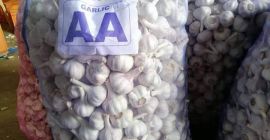 Somos un exportador con base en la India que