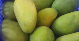 Komatha Fresh, de Ámsterdam / Países Bajos, es desde