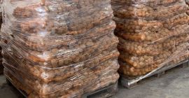 Vendo patatas, variedad vineta, saco de 15 kg, en