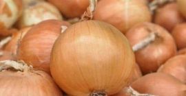 El producto ECO real alrededor de 80T Desde 2020