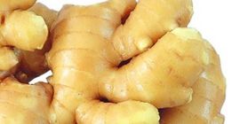 Producto Jengibre joven y viejo fresco (cosechas nuevas de