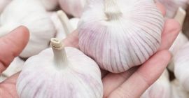 Ajo rico en nutrientes: cada 100 gramos de agua