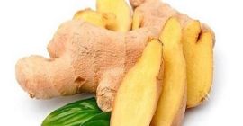 Producto Jengibre joven y viejo fresco (cosechas nuevas de