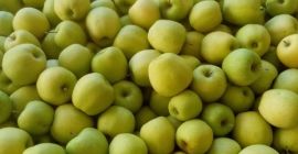 Hola. Venderé 40 toneladas de manzanas. Golden Delicious 65+