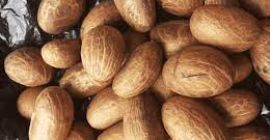 Obtenga su Garcina kola de primera calidad disponible