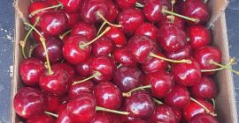 cerezas Alcala la real