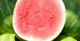 Estimado señor o señora. Vendemos sandías jugosas. Solo cantidades