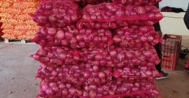 Vendo cebollas de Grecia