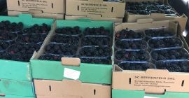 ¡Hola! A partir del 1 de julio tendremos a