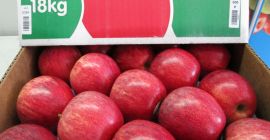 Suministramos manzanas frescas, de alta calidad. Dulce y crujiente,