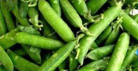Vendo guisantes ecológicos y de calidad. Ubicación: Slobozia, Arges