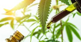 Lo invitamos a cooperar en el suministro de materia