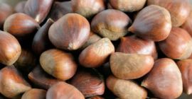 Somos proveedores mayoristas de castañas y nuestra empresa tiene