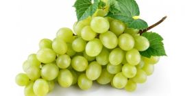 Somos proveedores mayoristas de uvas y nuestra empresa tiene