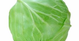 Somos proveedores mayoristas de repollo y vegetales frescos y