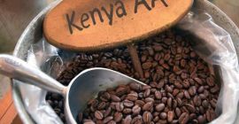 Granos de café ROBUSTA Precio: $ 12.58 / Kilogramo