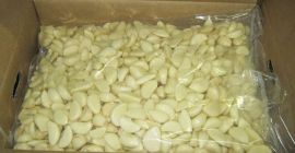 Ajo blanco pelado fresco de alta calidad listo para