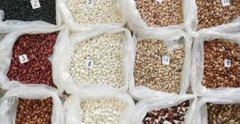 La empresa &quot;Бинс Натурпродукт&quot; ofrece a la venta granos