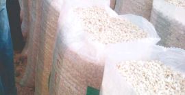 Bolsa de 100 kg de granos de maíz 270