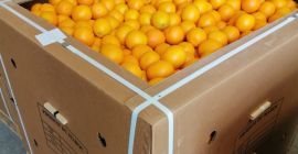 Naranja Valencia Maroc Late disponible en Marruecos, para consumo