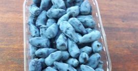 a la venta frutas de la variedad de bayas