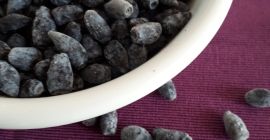 Los frutos de la baya de Kamchatka. Frutas congeladas