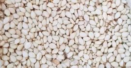 Semillas de sésamo blanco sudanesas, primera clasificación