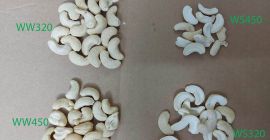 Compañía de Indiana presente en el mercado europeo desde